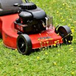 lawn mower, mow, cut the lawn-2408925.jpg